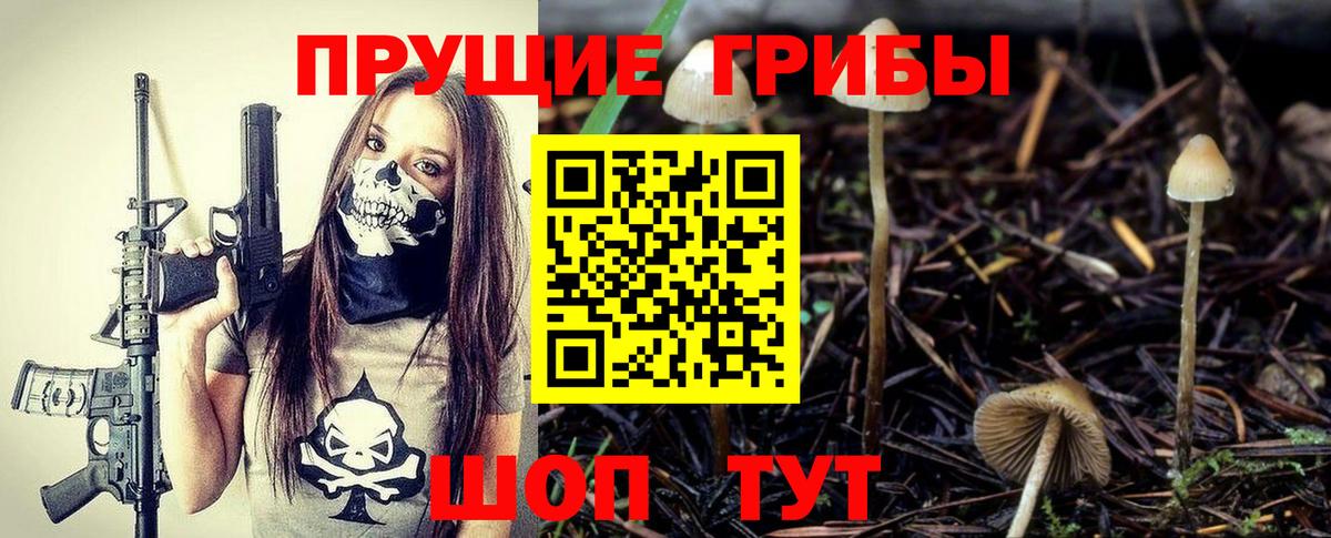 как найти закладки  Галлюциногенные грибы Magic Shrooms  Вход с VPN  Тара 