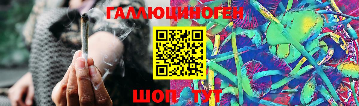 Псилоцибиновые грибы Magic Shrooms Тара